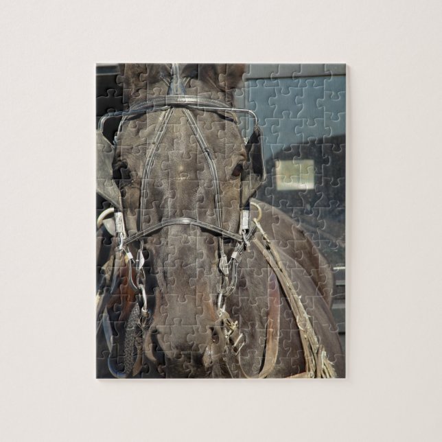 Amish Buggy Horse Jigsaw Puzzle (Vertical)