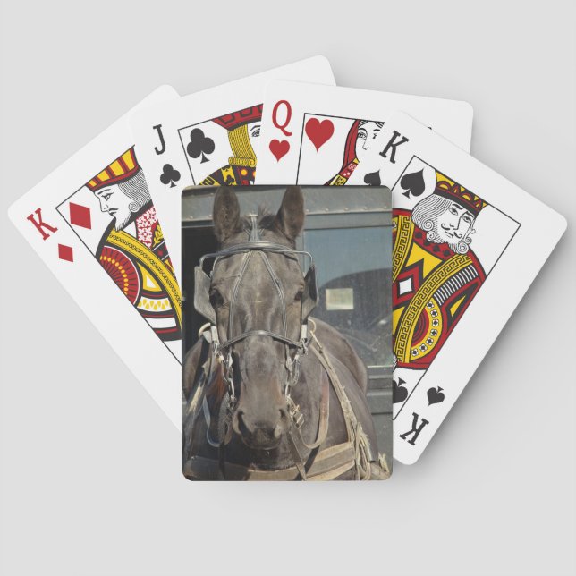 Amish Buggy Horse Playing Cards (Back)
