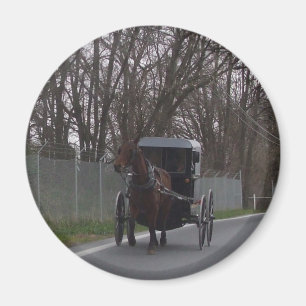 Amish Buggy Magnet
