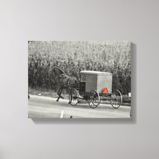 Amish Buggy Monochrome Canvas Print (Front)