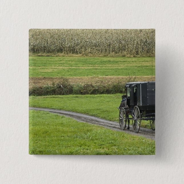Amish buggy on farm lane, Northeastern Ohio, 15 Cm Square Badge (Front)