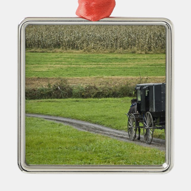 Amish buggy on farm lane, Northeastern Ohio, Metal Tree Decoration (Front)
