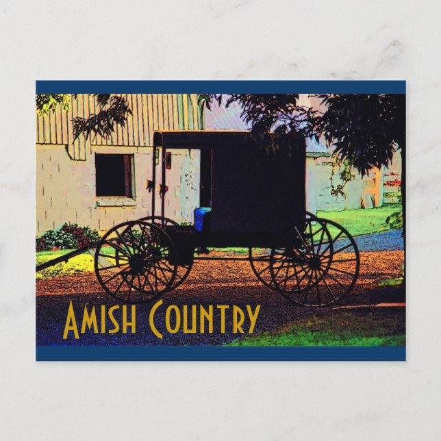 Amish Buggy Postcard (Front)