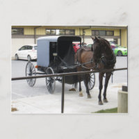 Amish Buggy
