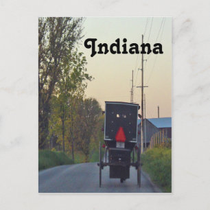 Amish Buggy Postcard