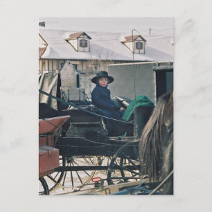 Amish Child in Buggy-Postcard Postcard
