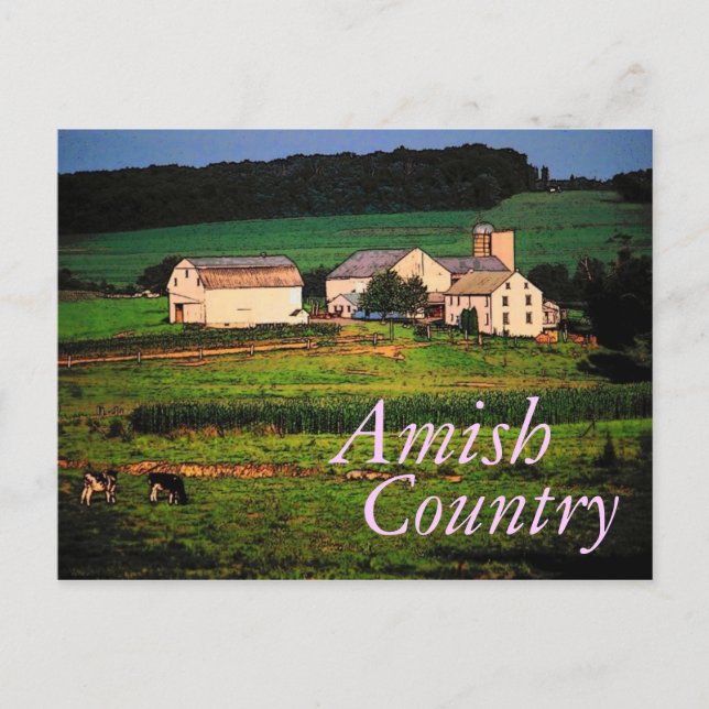 Amish Country Postcard (Front)
