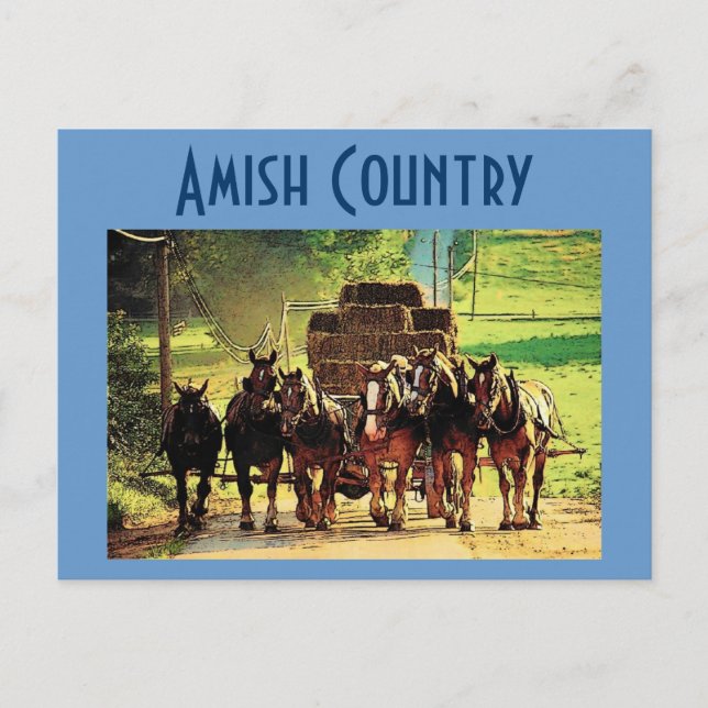 Amish Country Postcard - Customised (Front)