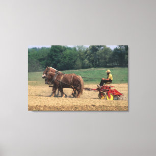 Amish Country simple people in farming with Canvas Print