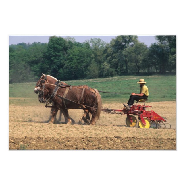 Amish Country simple people in farming with Photo Print (Front)