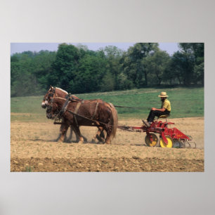 Amish Country simple people in farming with Poster