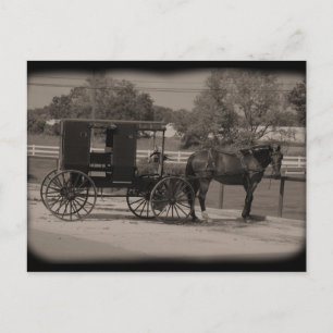 Amish Country Sugarcreek,Ohio Postcard
