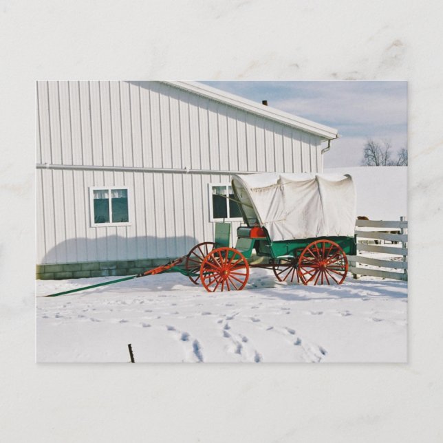 Amish Covered Wagon-Postcard Postcard (Front)