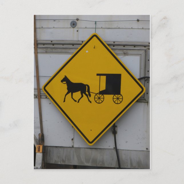 Amish Crossing Sign Postcard (Front)