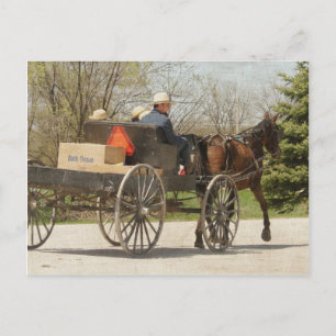 Amish Family Heading Home Postcard