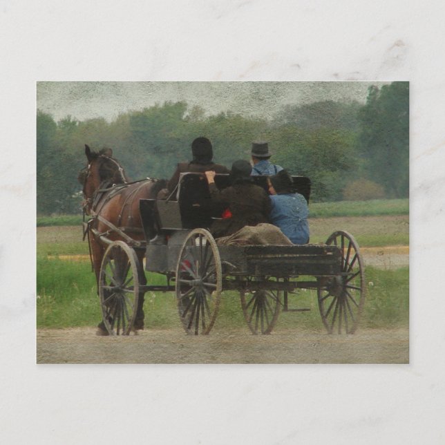 Amish Family Outing Postcard (Front)