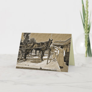 Amish Family Petting Horse Greeting Card