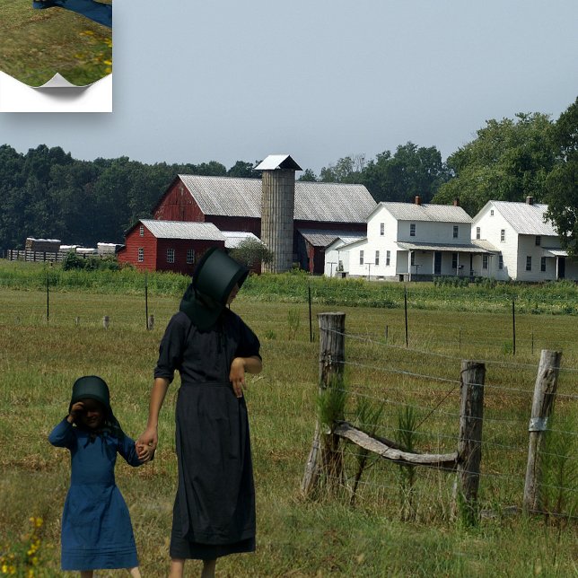 Amish Farm Life Poster (Creator Uploaded)