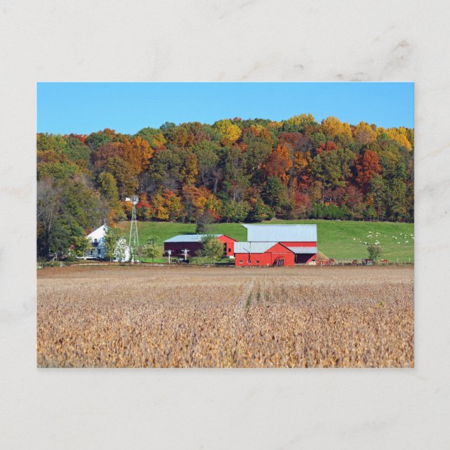 Amish Farm Postcard (Front)