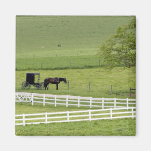 Amish farm with horse and buggy near Berlin, Magnet