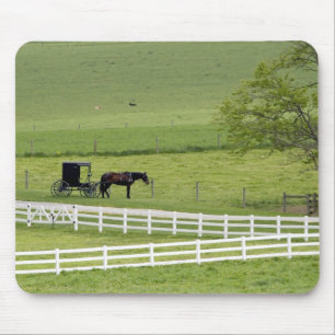 Amish farm with horse and buggy near Berlin, Mouse Pad