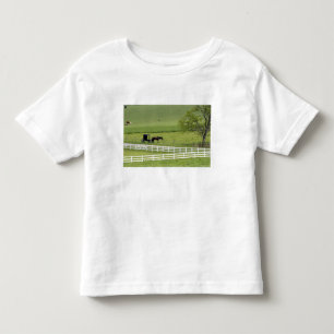 Amish farm with horse and buggy near Berlin, Toddler T-Shirt