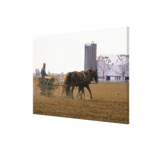 Amish farmer using a horse drawn seed planter canvas print