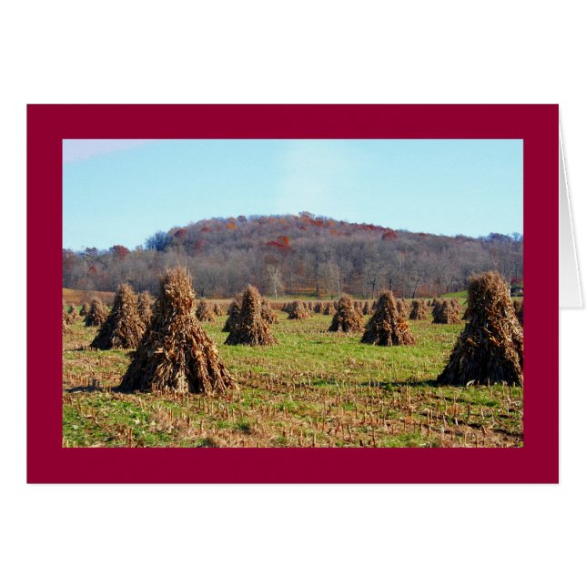 Amish Fields (Front Horizontal)