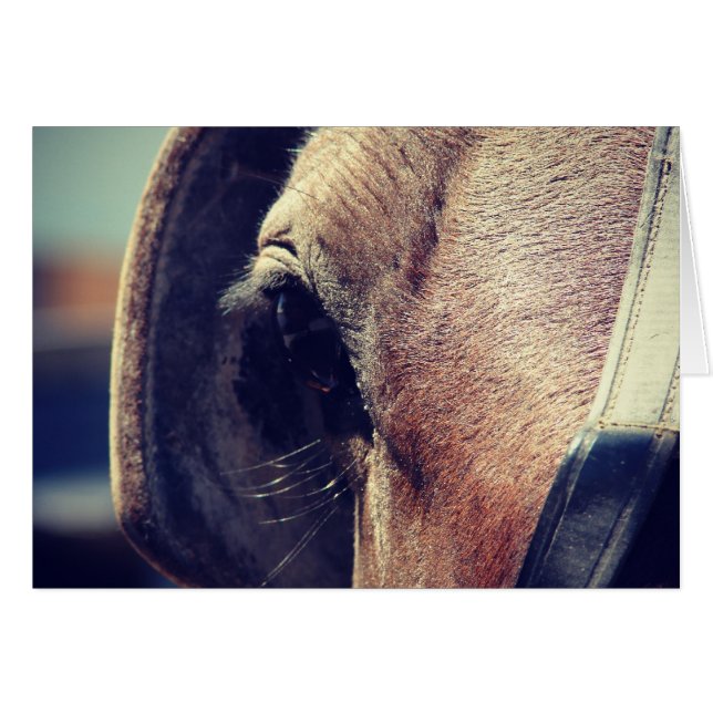 Amish Horse (Front Horizontal)