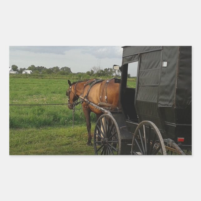 Amish Horse and Buggy at Sunset Rectangular Sticker (Front)