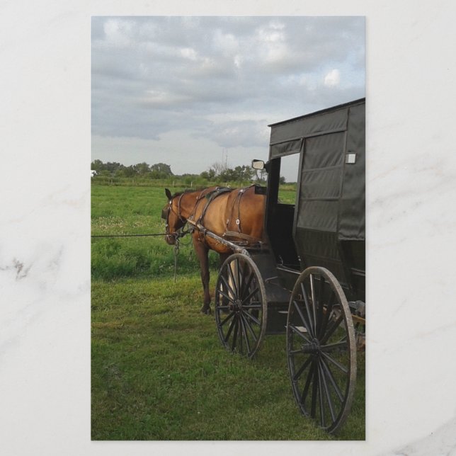 Amish Horse and Buggy at Sunset Stationery (Front)