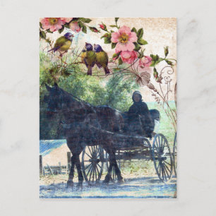 Amish Horse and Buggy Birdie Texture Postcard