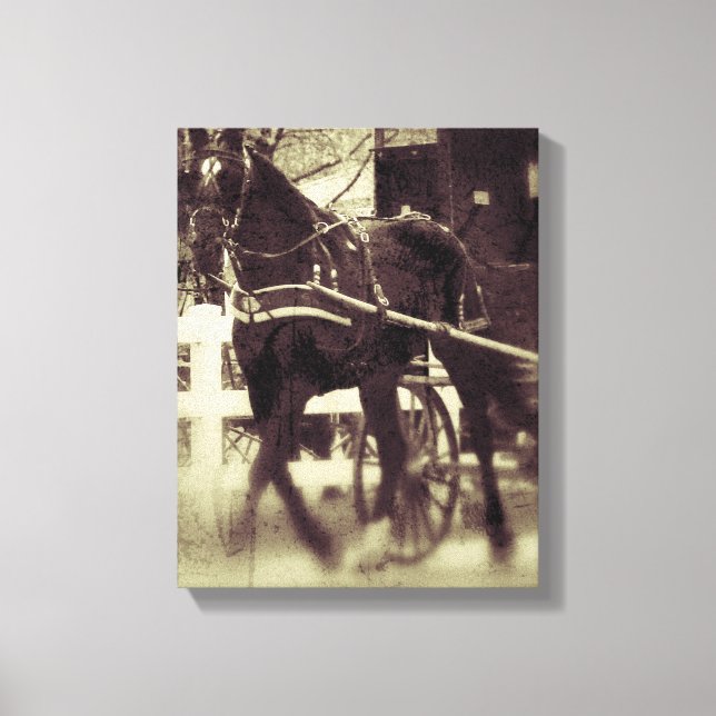 Amish Horse and Buggy Canvas Print (Front)