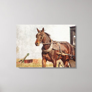 Amish Horse and Buggy Canvas Print