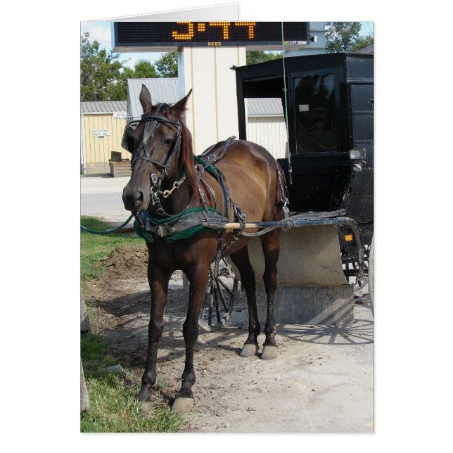 Amish horse and buggy Grocery Store Stop (Front)
