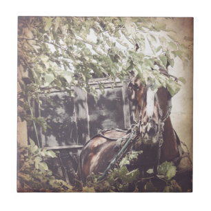 Amish Horse and Buggy in the Shade Tile