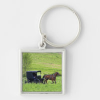 Amish horse and buggy near Berlin, Ohio.