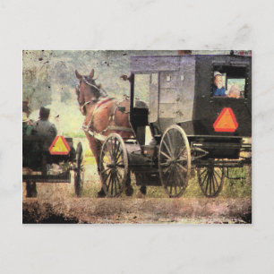 Amish Horse and Buggy Postcard