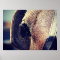 Amish Horse Blinders