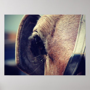 Amish Horse Blinders Poster