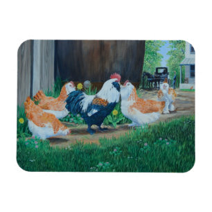 Amish horse/buggy and Salmon Favorelle chickens Magnet