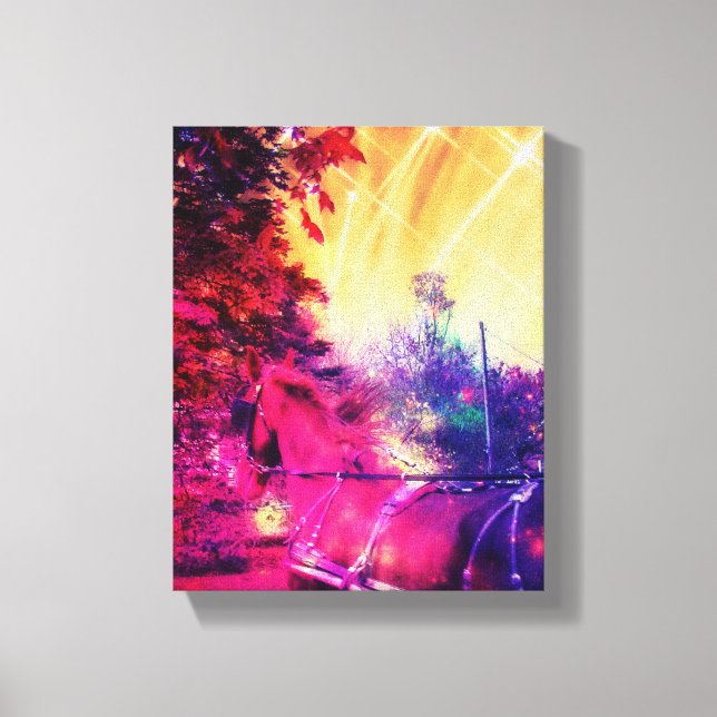 Amish Horse Fun Canvas Print (Front)