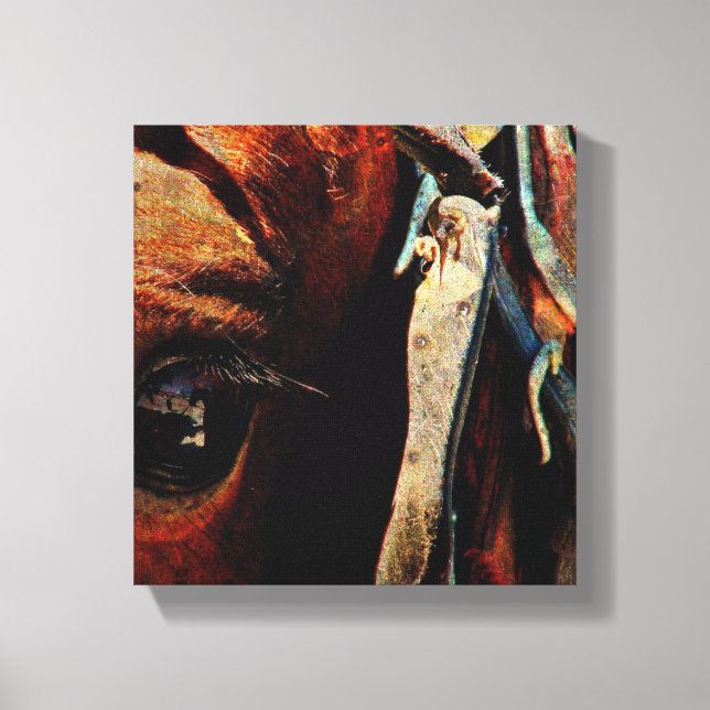 Amish Horse Grunge Canvas Print (Front)