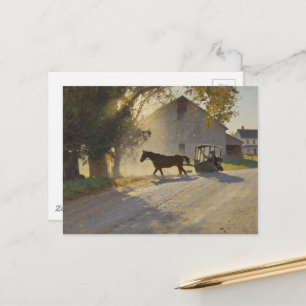 Amish Horse Painting Postcard
