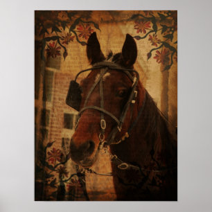 Amish Horse Poster
