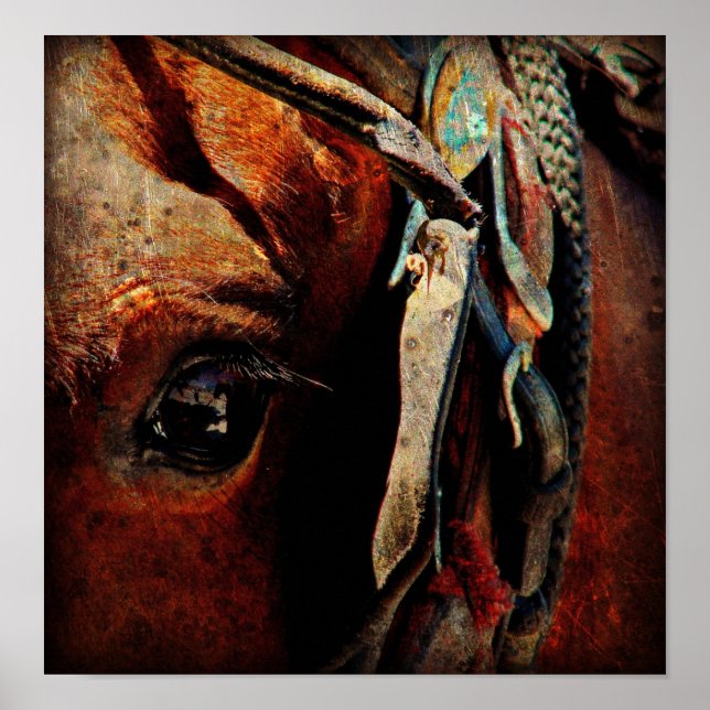 Amish Horse Poster (Front)