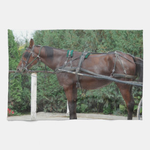 Amish Horse Tea Towel