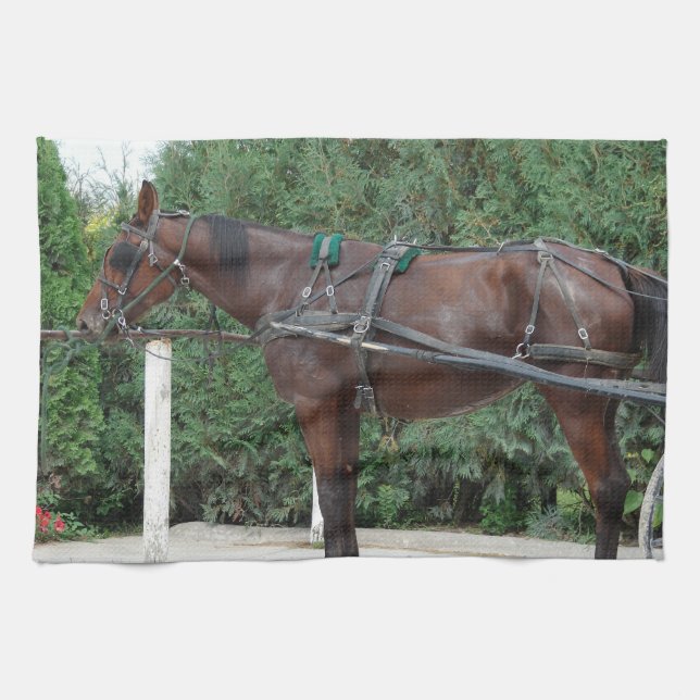 Amish Horse Tea Towel (Horizontal)
