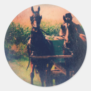 Amish Horse Team Classic Round Sticker