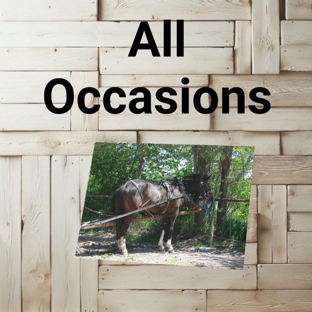 Amish Horse Waiting Patiently Card (A blank inside all occasions greeting card featuring a photo of an Amish horse )